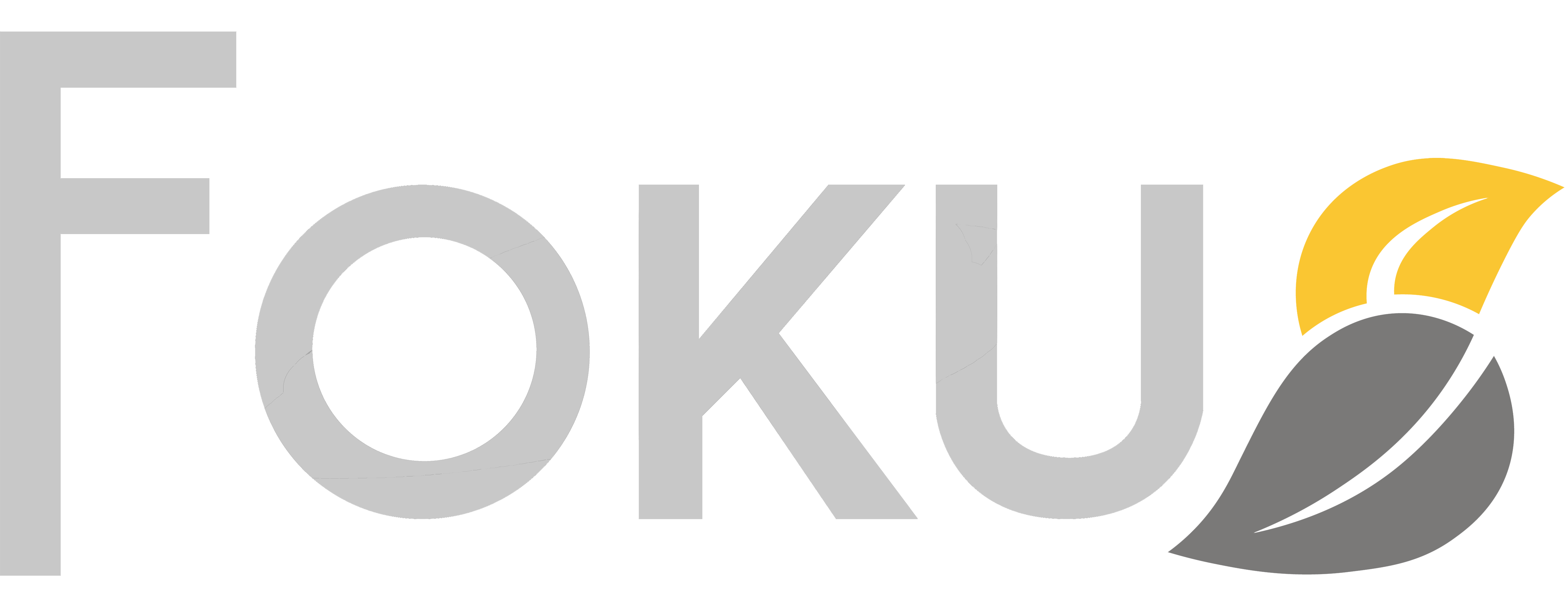 Fokus